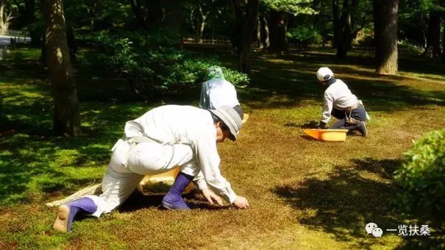 日本现代化奇迹：如何在战败废墟上实现社会